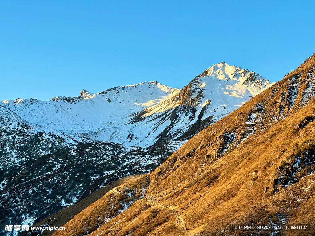 雪山下的金黄山坡美景