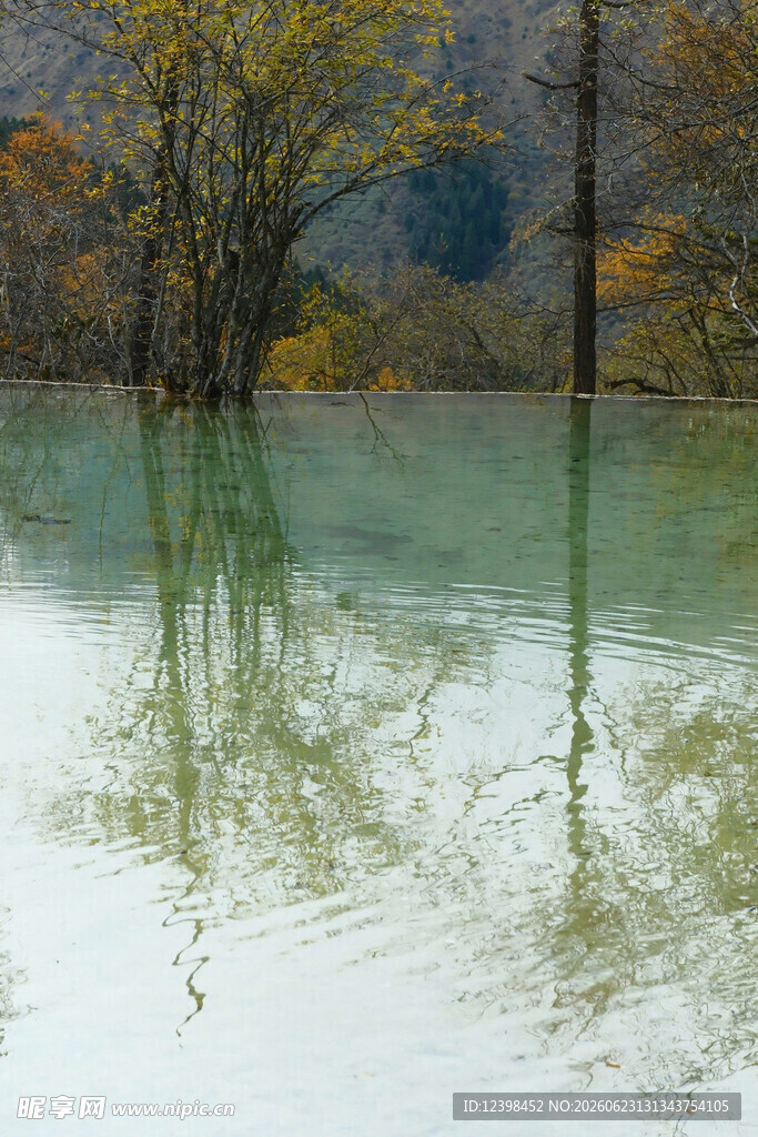 秋日静谧湖水倒影之景