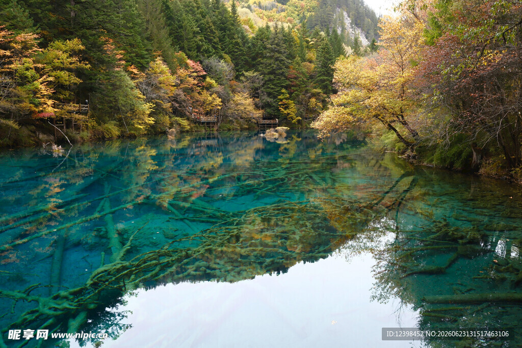 九寨沟绝美清澈湖水景观