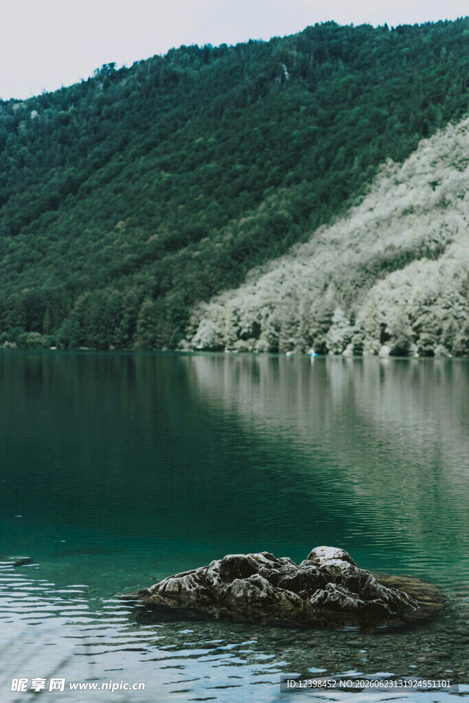 宁静湖畔的自然景致