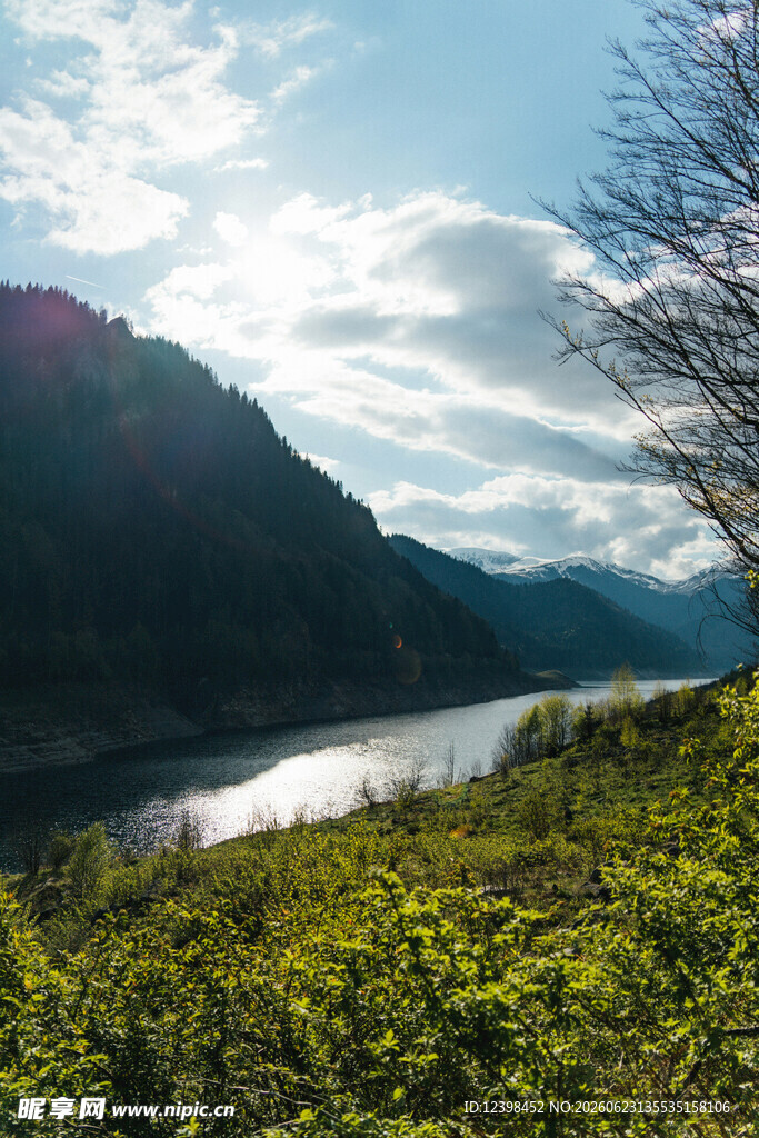山间河畔绿意盎然美景