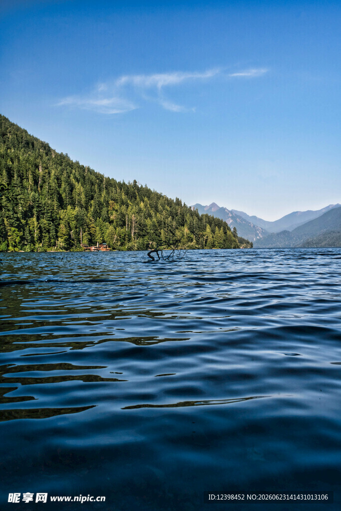 宁静湖景与葱郁山林