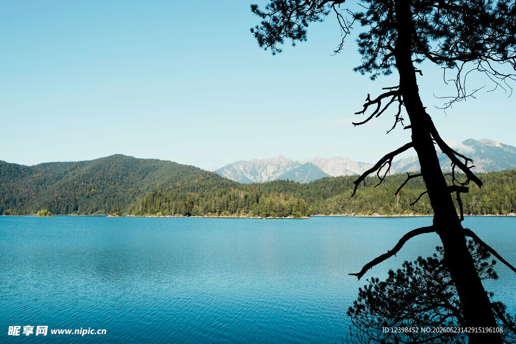 宁静湖畔松影与远山美景