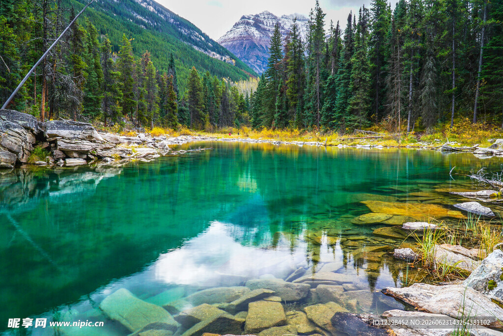 碧绿湖水映山林美景