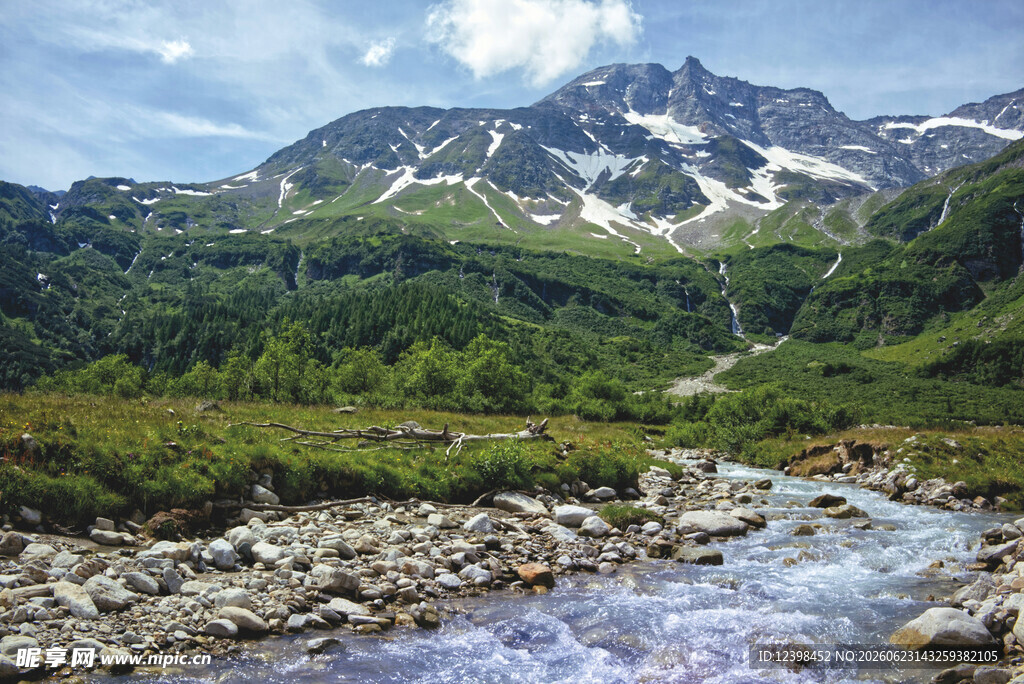山间溪流旁的秀丽自然景观