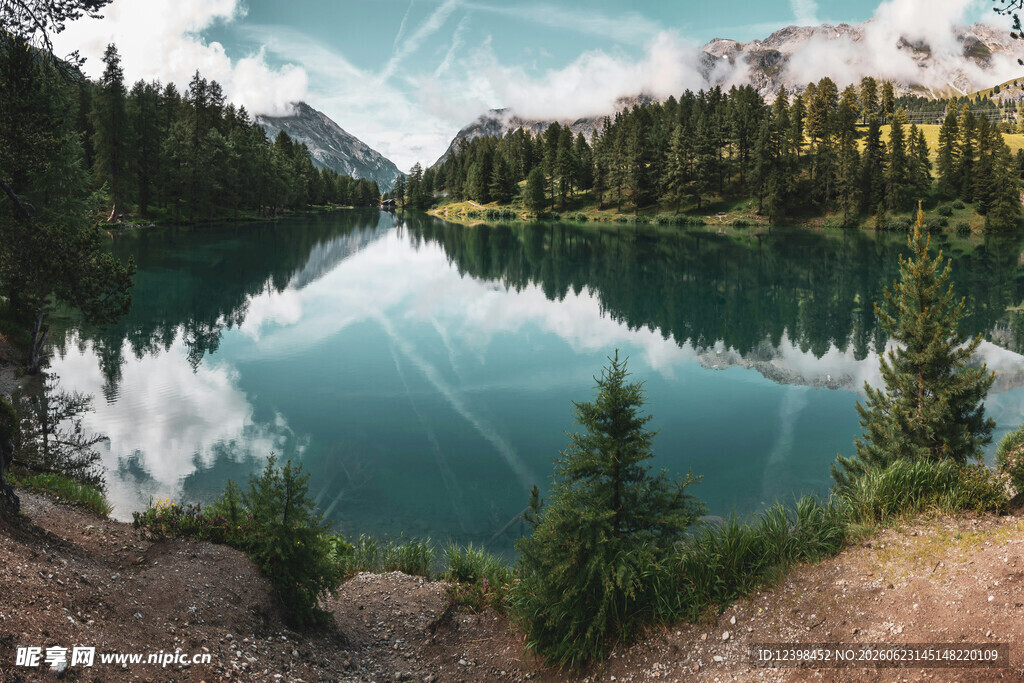 静谧湖畔的自然美景