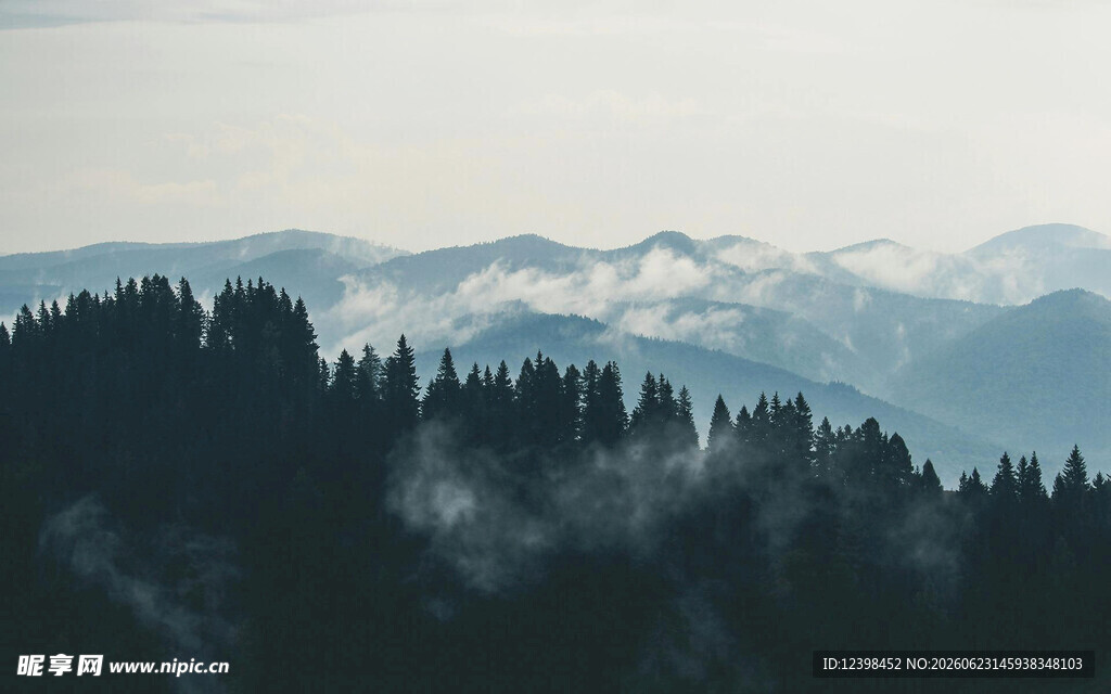 山间云雾缭绕的森林美景