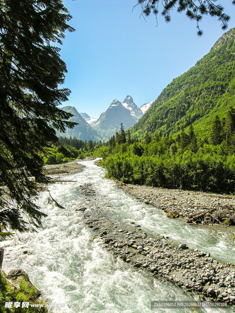 山间湍急溪流与葱郁山林