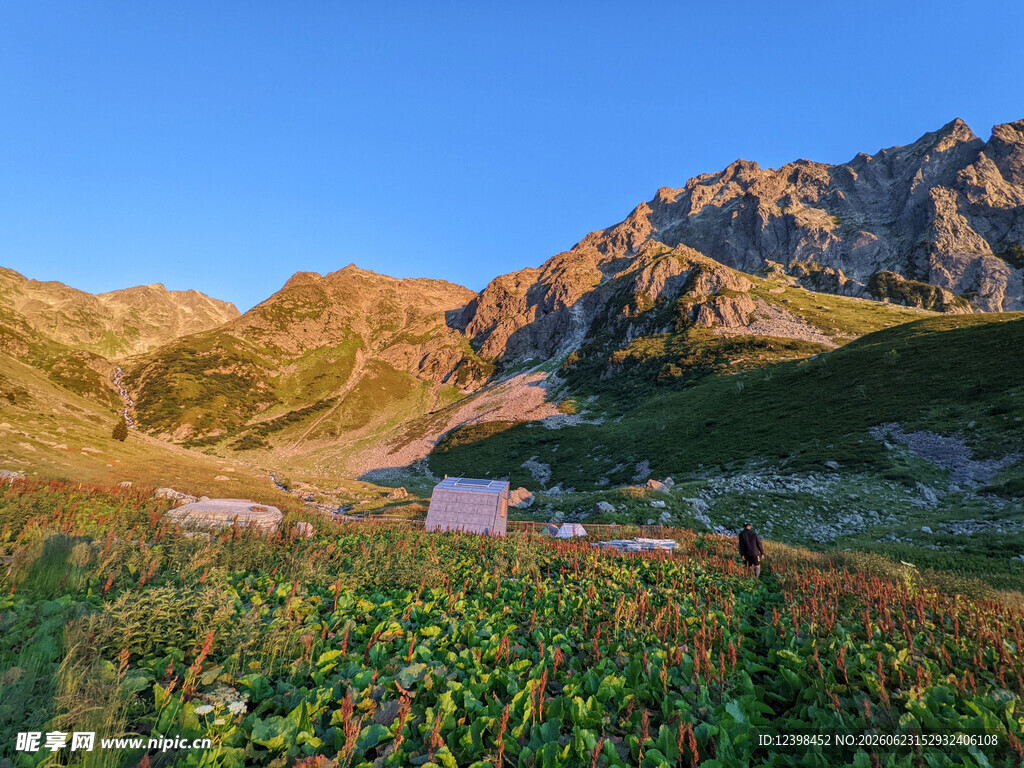 山间花海与壮丽山峦美景