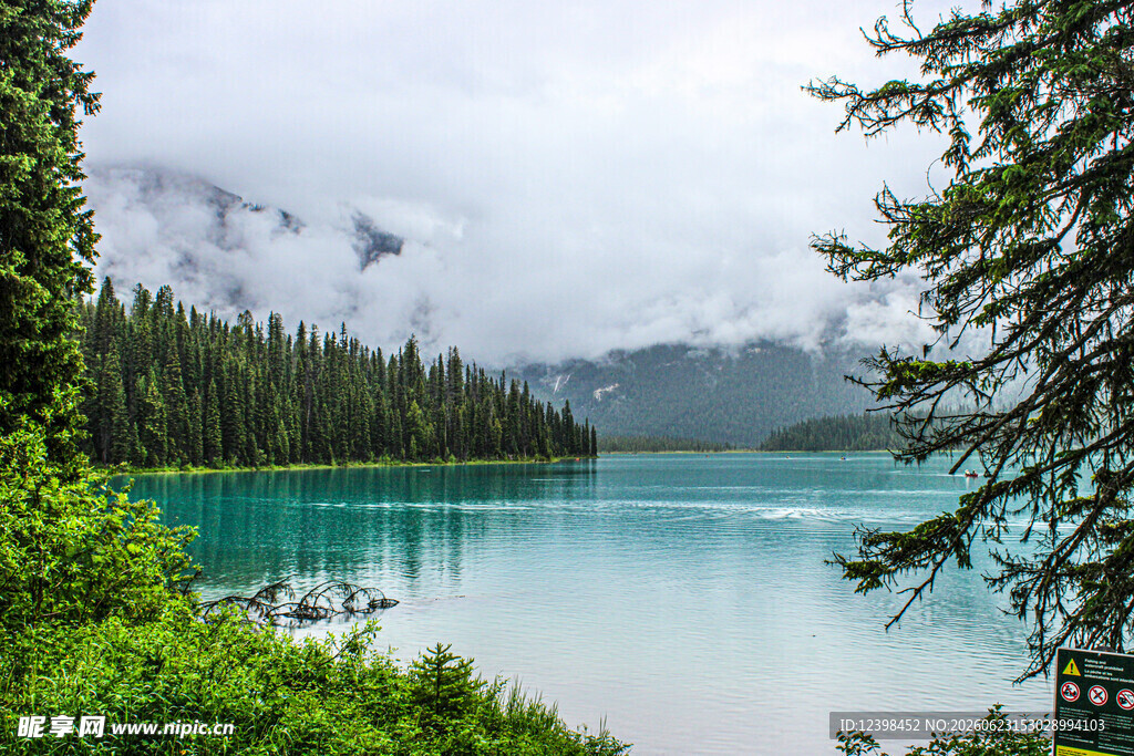 湖畔森林美景