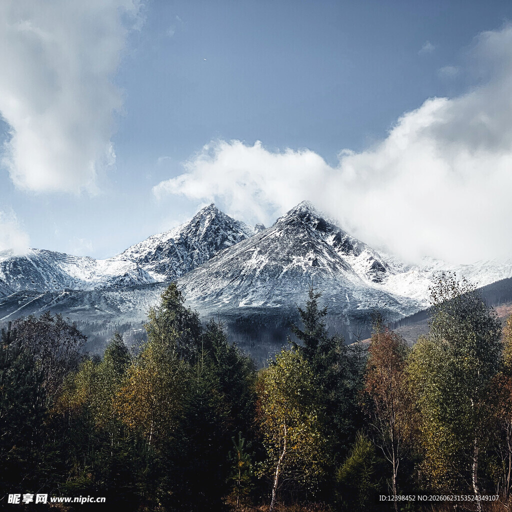 雪山森林美景
