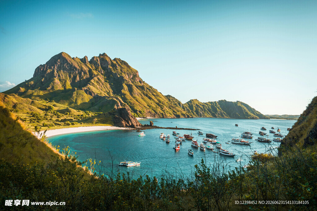 美丽海湾停泊众多船只