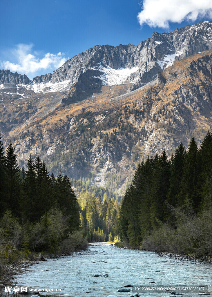 山间河流与葱郁林木美景
