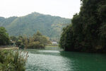 青山绿水间的宁静河流