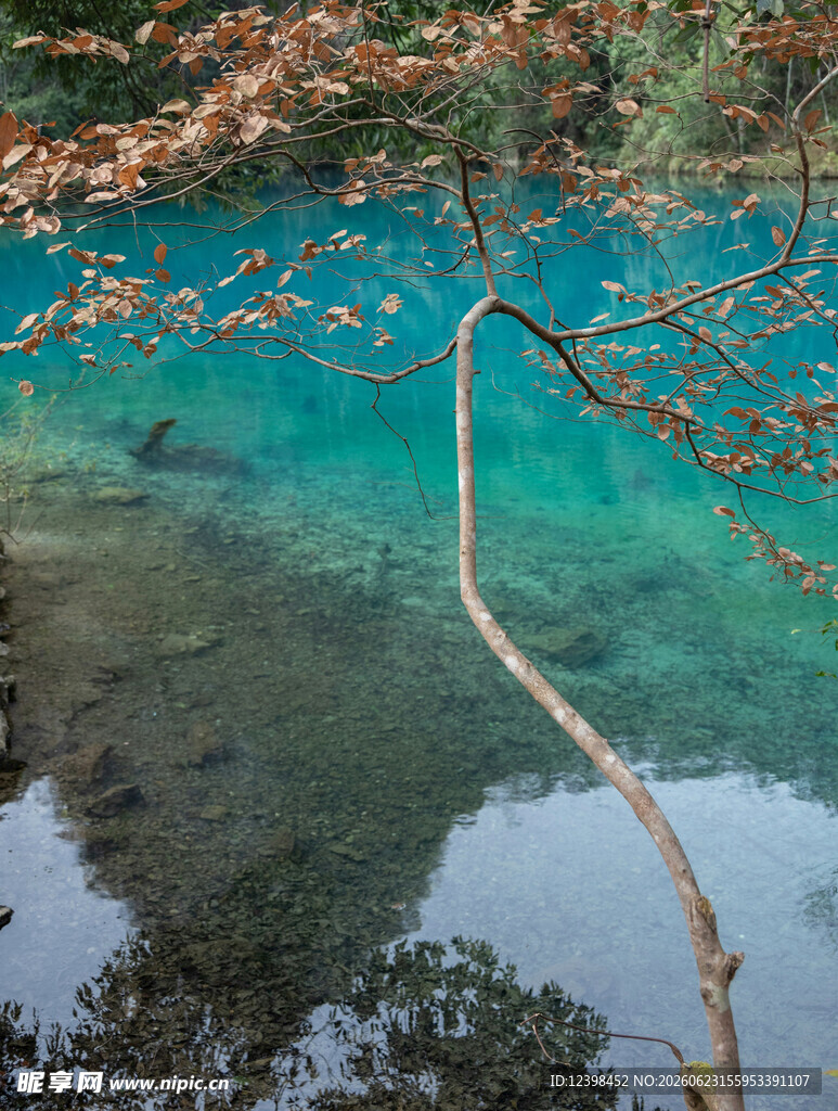 九寨沟清澈幽蓝的湖水