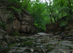 山间幽静河谷风景