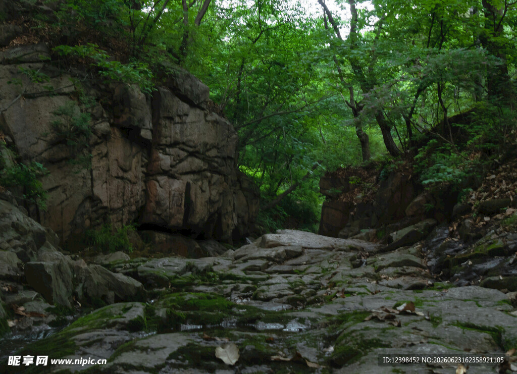 山间幽静河谷风景
