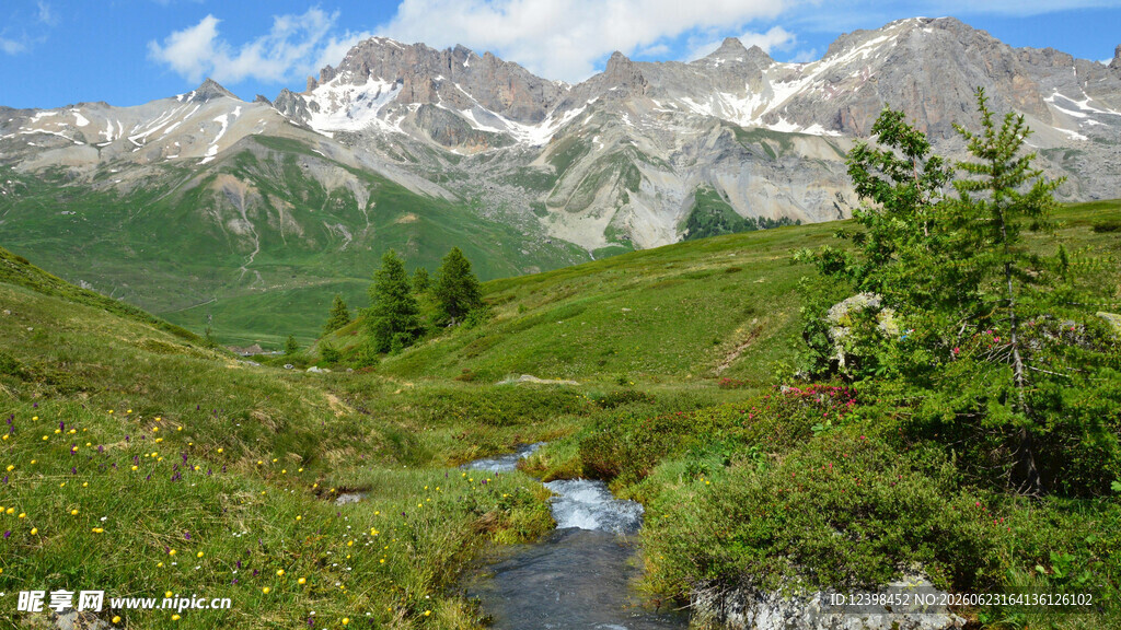 山间溪流旁的秀丽山野景色
