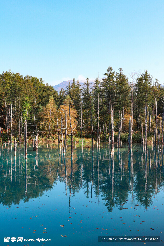宁静湖畔森林倒影美景