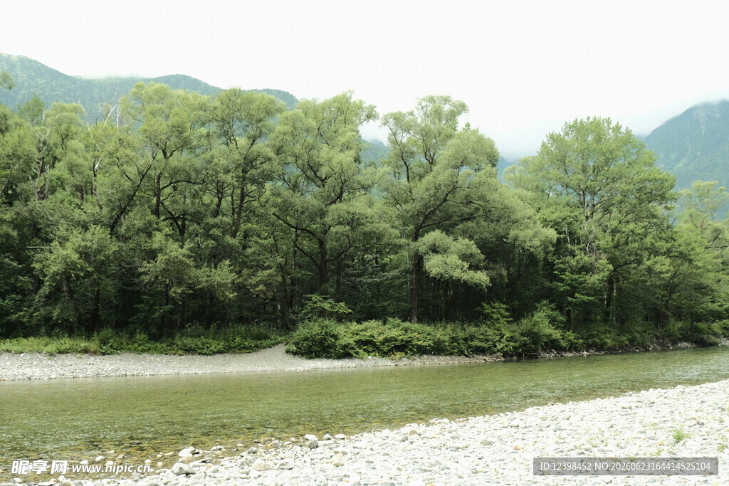 河畔葱郁树林与山水景致