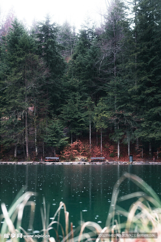 湖畔森林美景