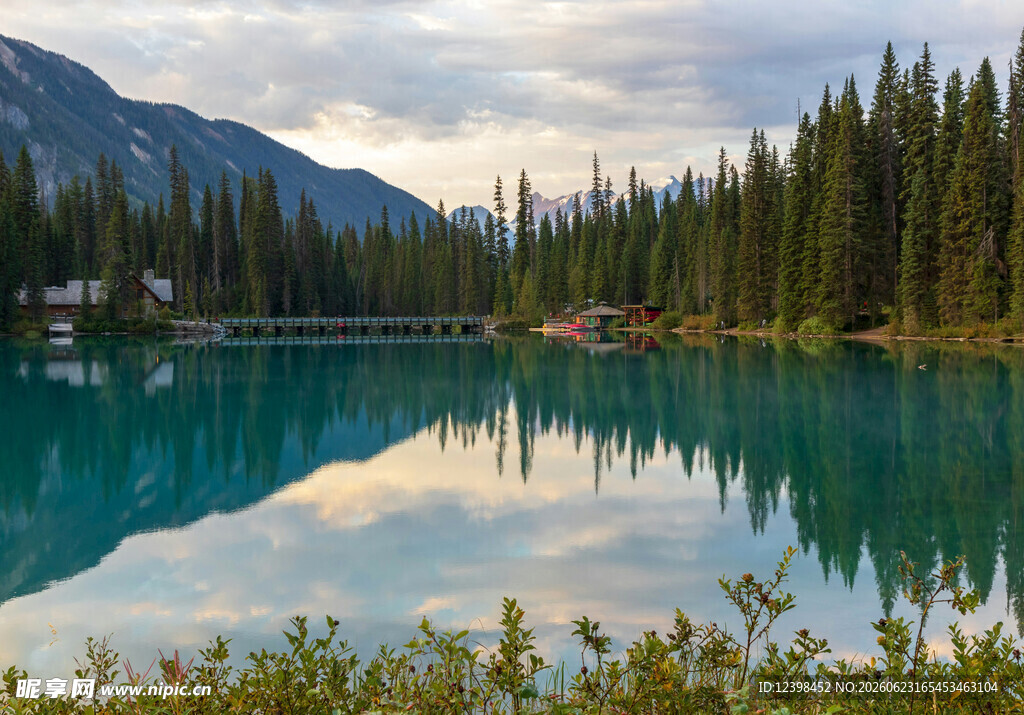 湖畔森林美景