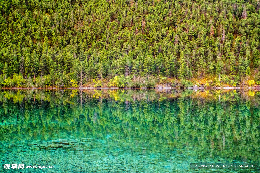 碧绿湖水映葱郁山林