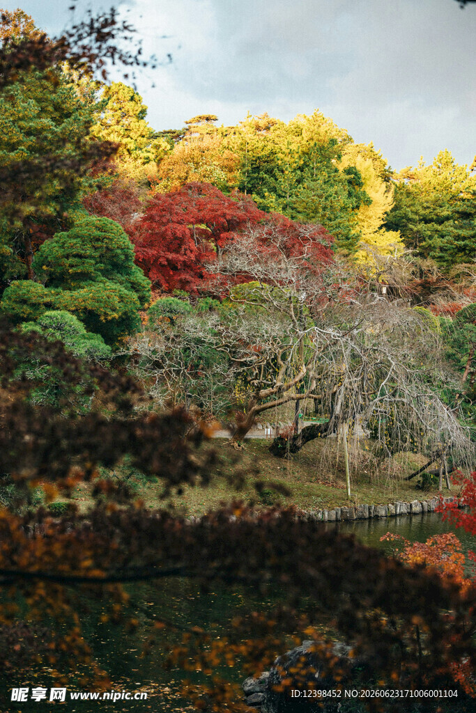 秋日山林斑斓景致