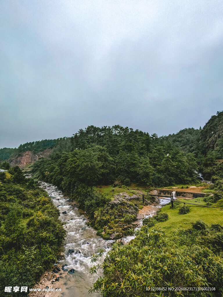 山间溪流穿林而过