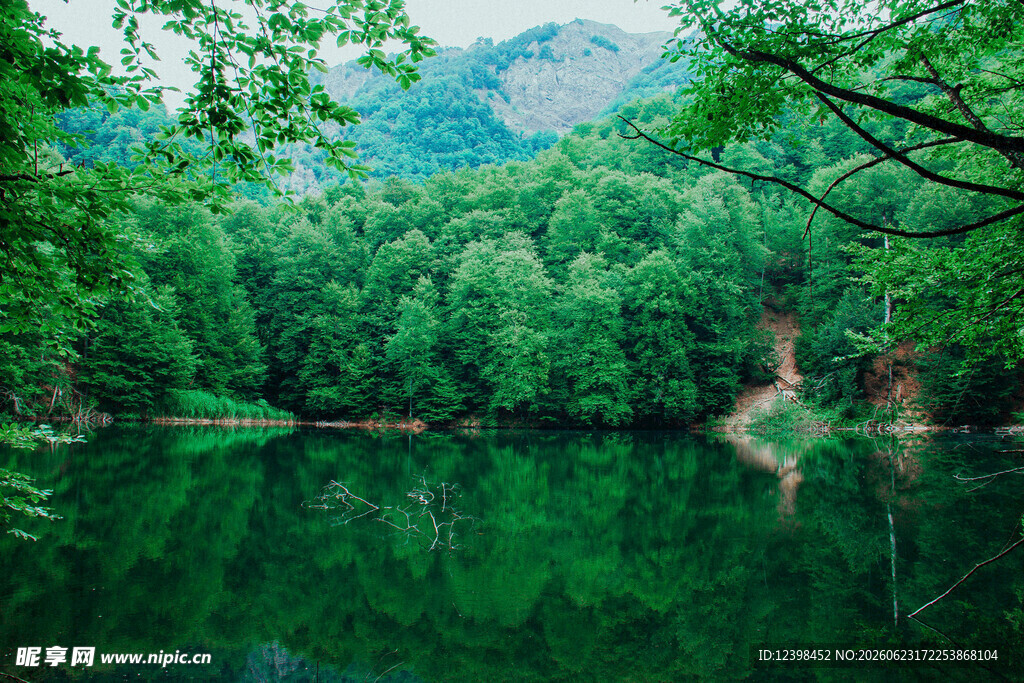静谧山林中的清澈湖水
