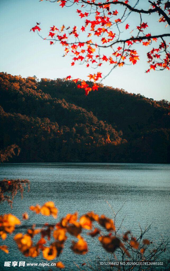 秋日湖畔红叶美景