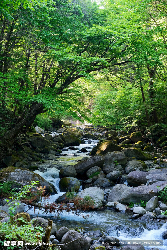 山林间的潺潺溪流