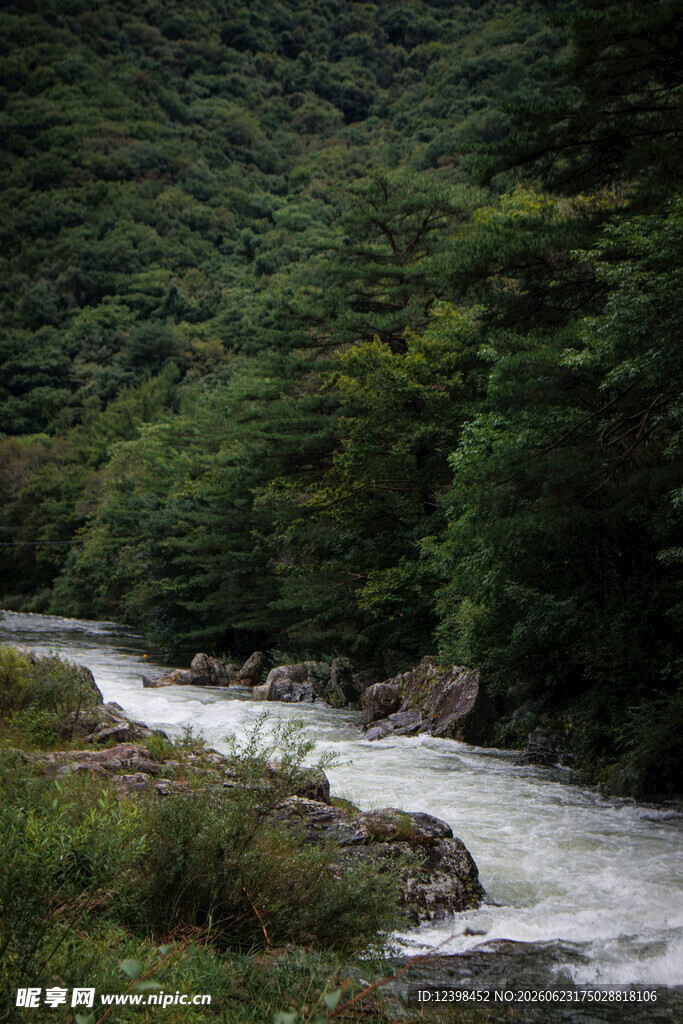 山间湍急溪流