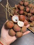 荔枝