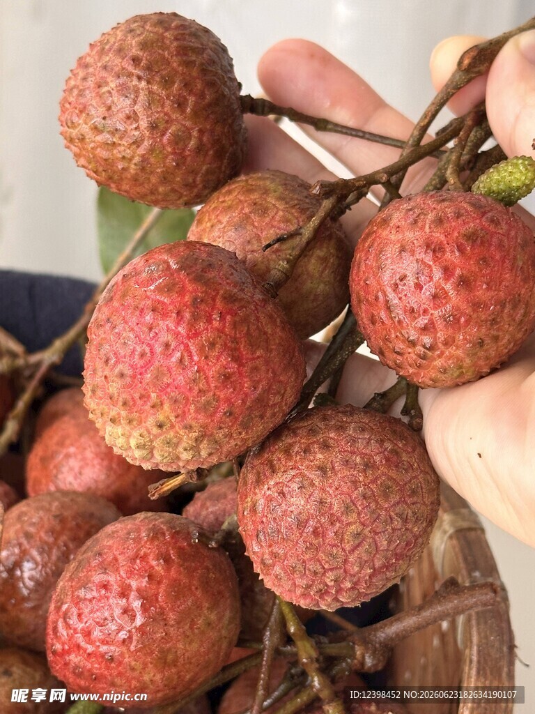 荔枝