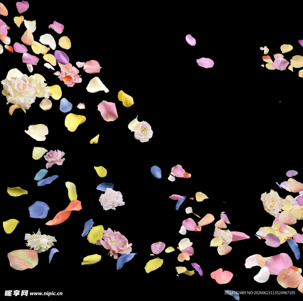 缤纷花瓣飘落