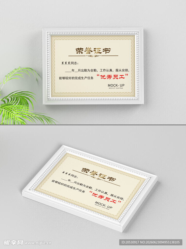 荣誉证书样机
