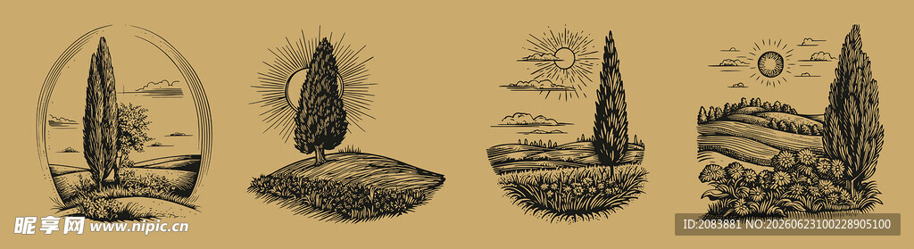 手绘素描树和田野插画