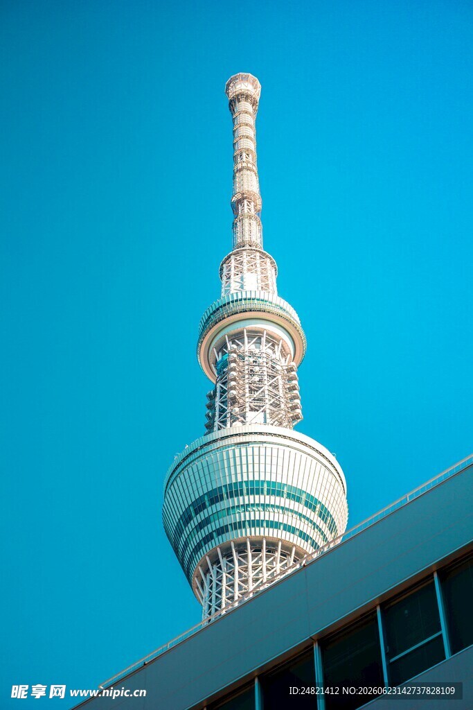 高耸电视塔