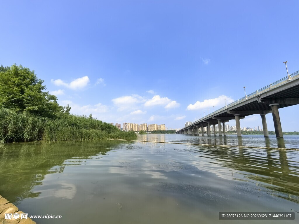 河畔桥梁景观