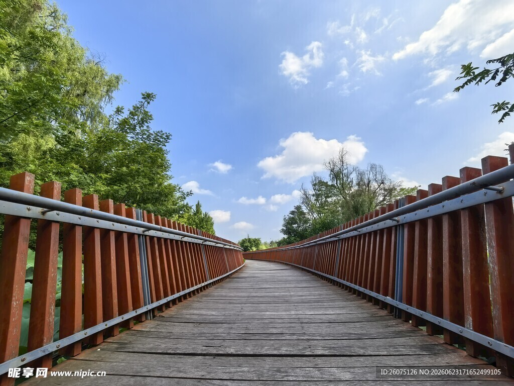 林间木桥漫步道