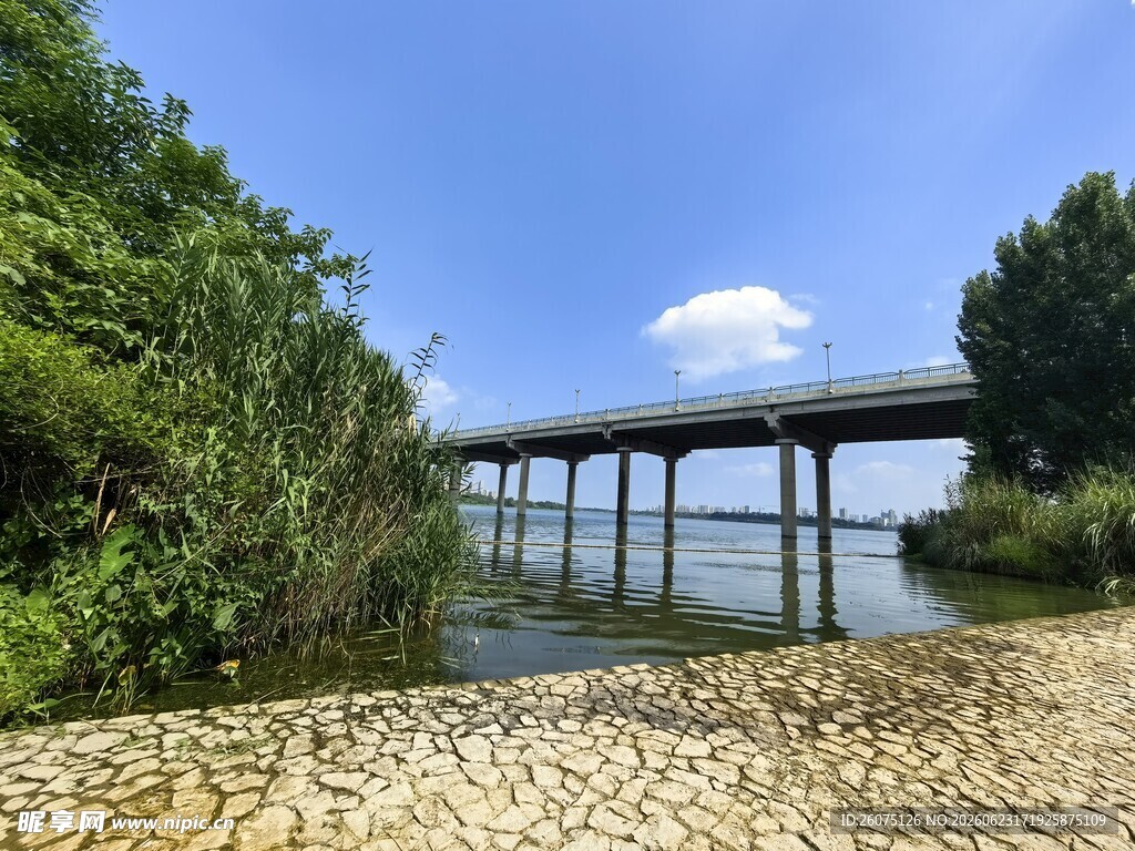 河畔桥梁风景