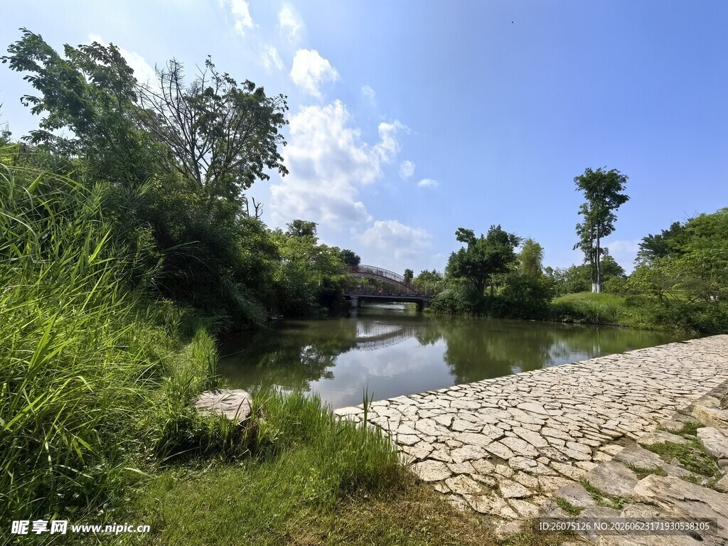 乡村河畔风景