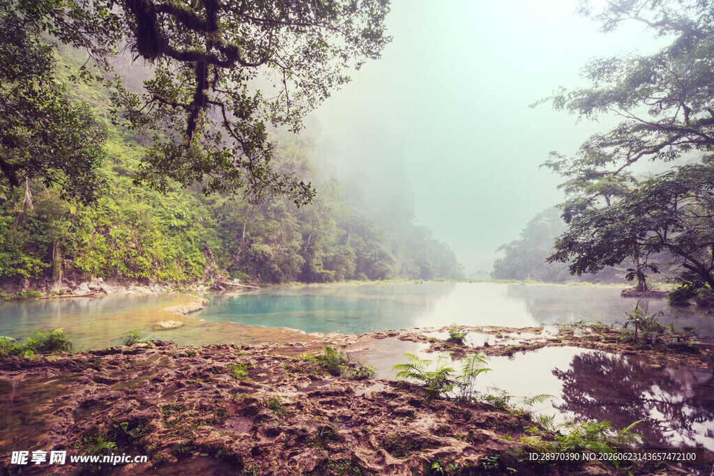 山间幽潭绿意环绕之景