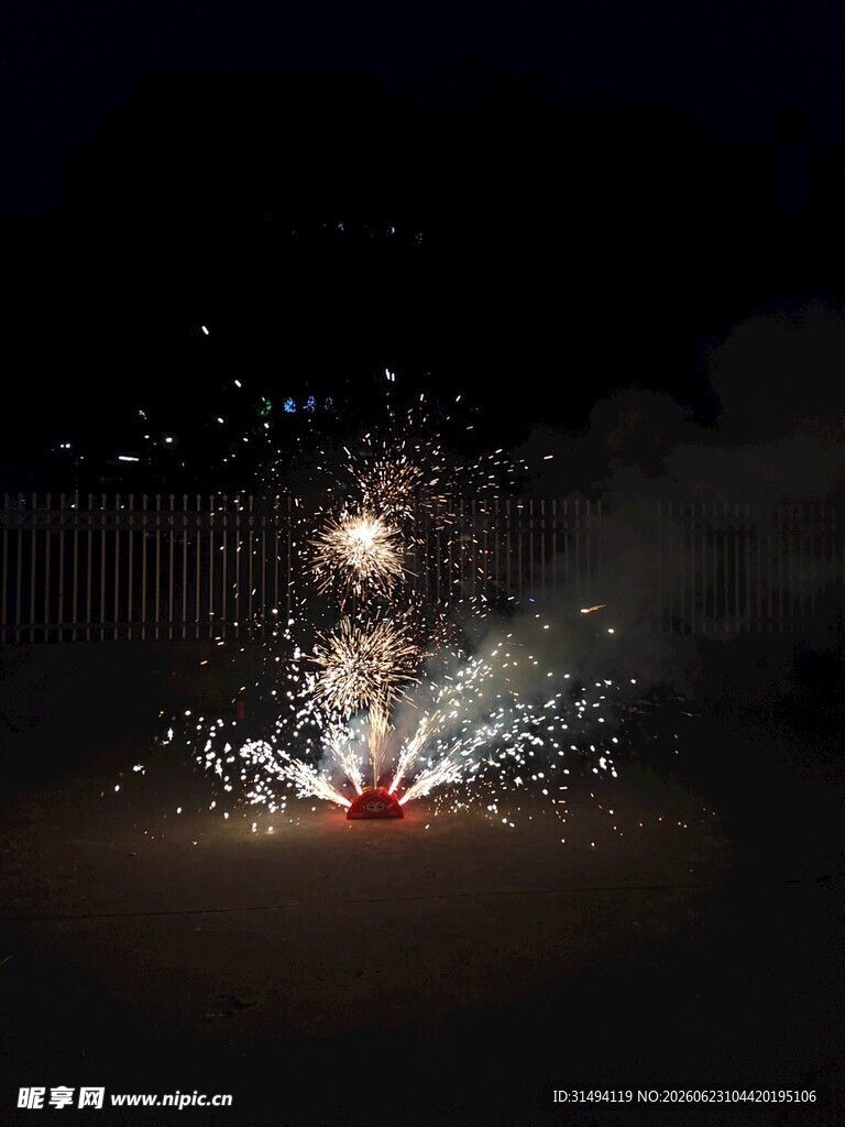 夜空中绽放的绚烂烟花