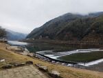 山水相依的宁静河岸风光
