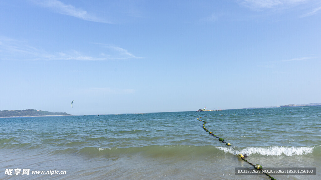 海边景致 孤枝伸向海洋