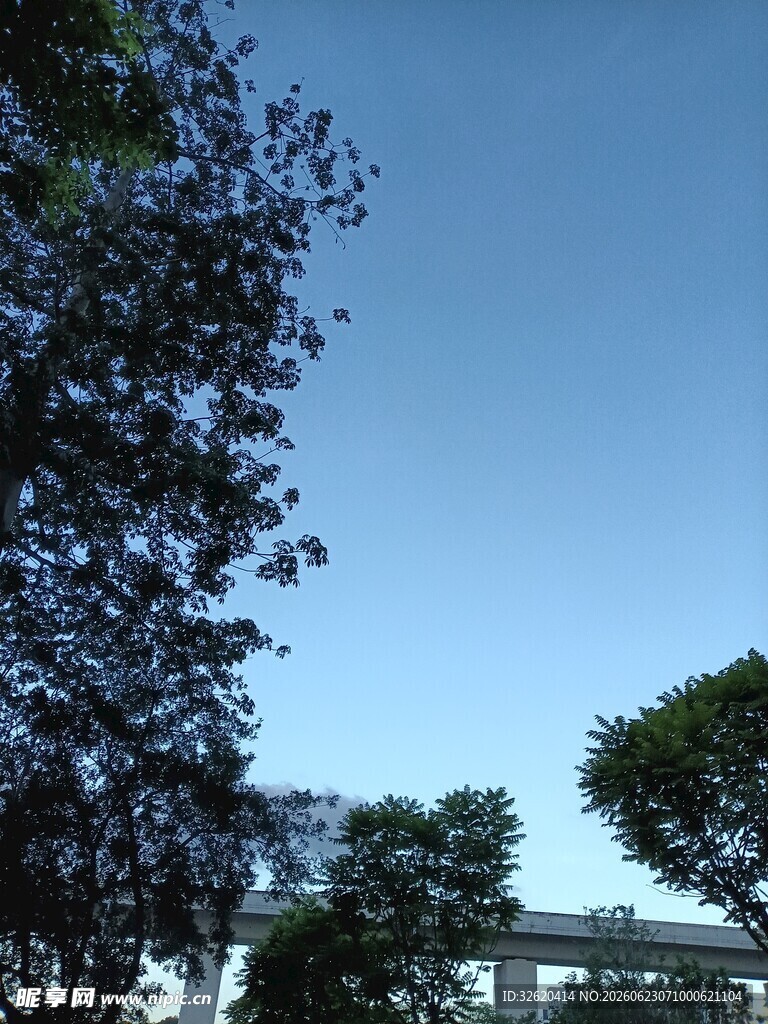 蓝天绿树间的建筑景观