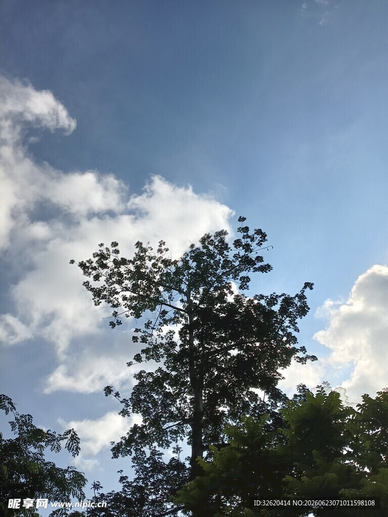 蓝天绿树间的白云景致
