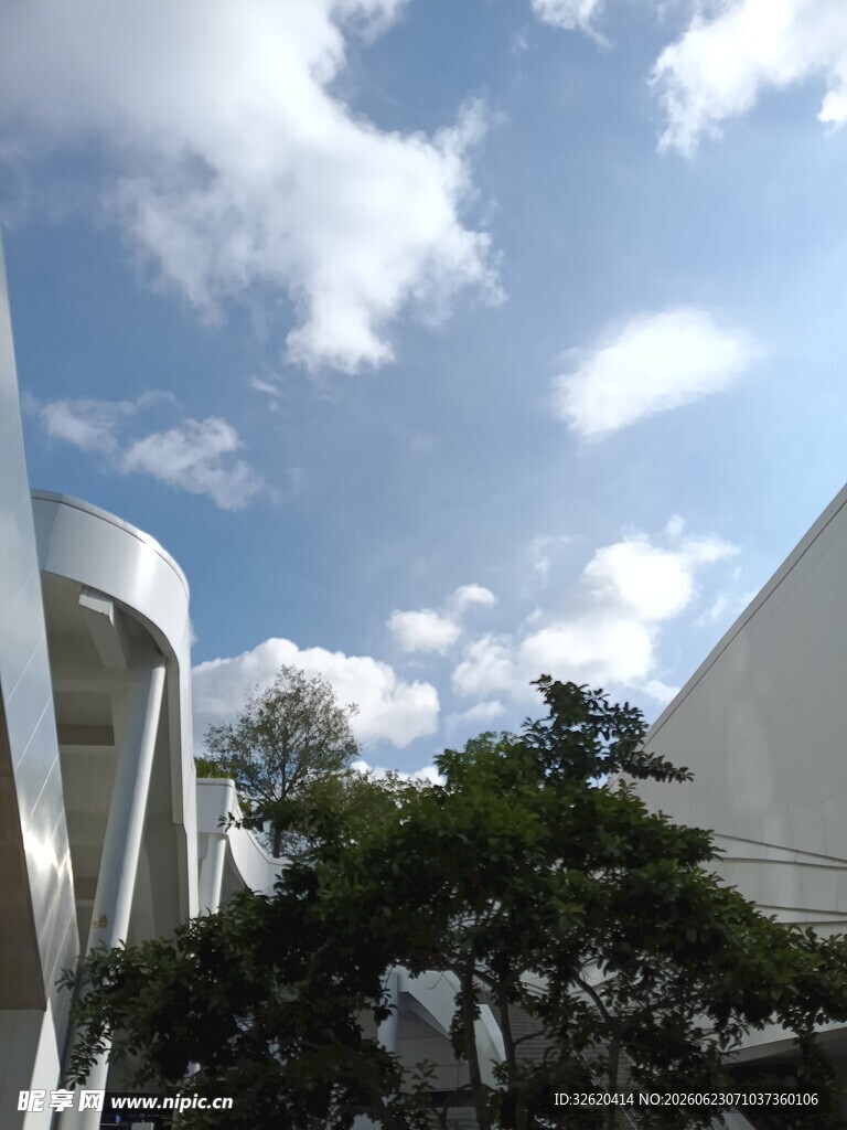 城市建筑间的蓝天绿树
